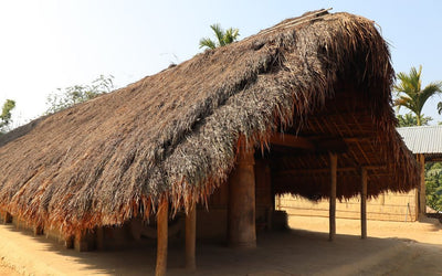 Traditional Motifs on a Ribhoian Queen's Palace