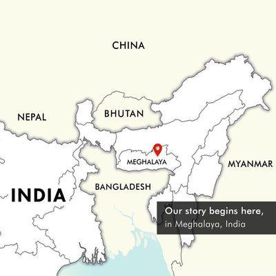 Our studio in Meghalaya India | Muezart